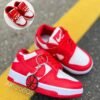 Nike Sb Dunk Rojo Nike SB Dunk